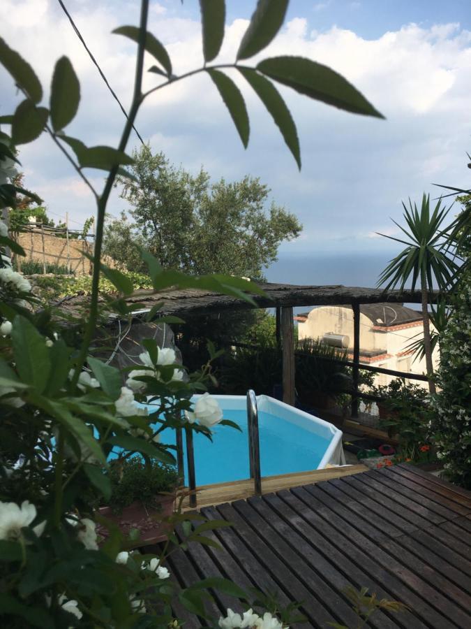 Blue Dream - Amalfi Coast Villa Конка деи Марини Екстериор снимка
