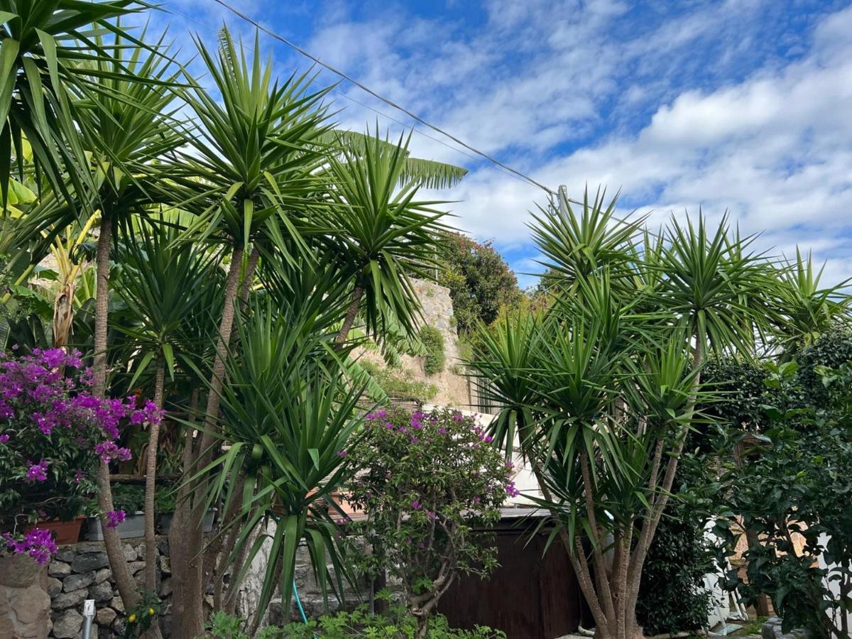 Blue Dream - Amalfi Coast Villa Конка деи Марини Екстериор снимка